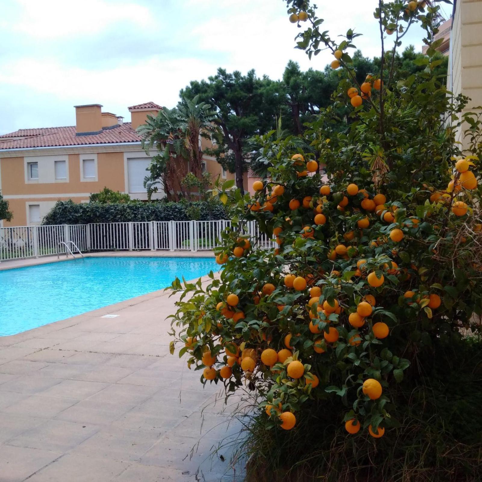 Direct Monaco Studio Devant Piscine Beausoleil Extérieur photo