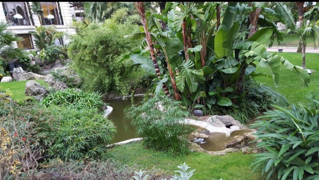 Direct Monaco Studio Devant Piscine Beausoleil Chambre photo