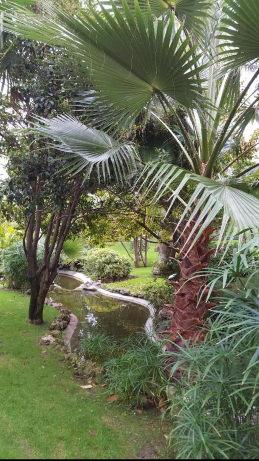 Direct Monaco Studio Devant Piscine Beausoleil Chambre photo